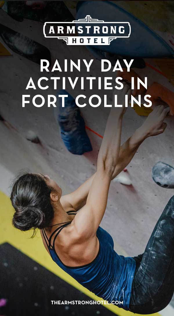 Blog Rainy Day Activities in Fort Collins