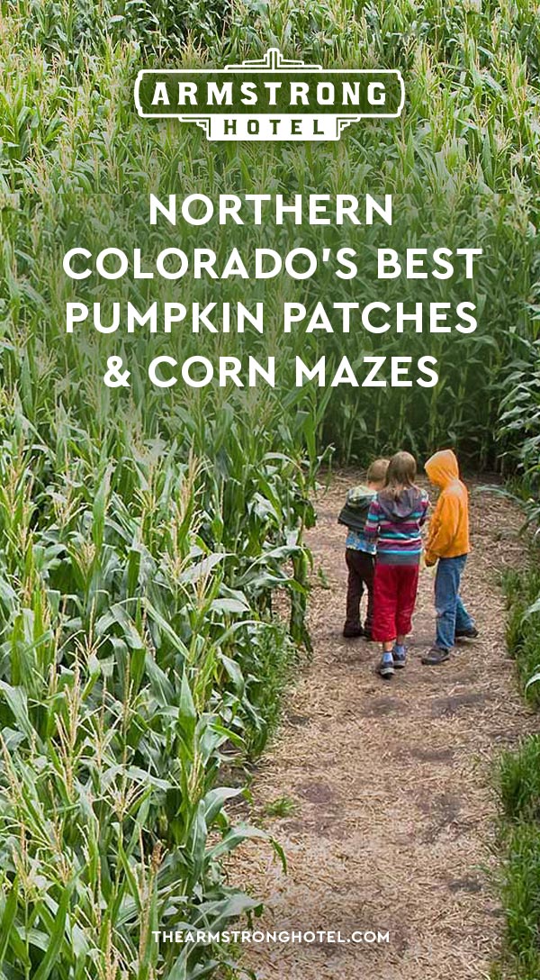 Blog Northern Colorado's Best Pumpkin Patches & Corn Mazes