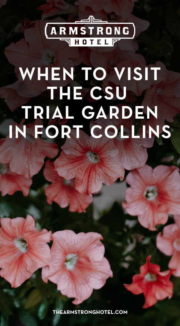 Blog When to Visit the CSU Trial Garden in Fort Collins