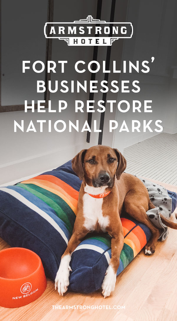 Blog Fort Collins' Businesses Help Restore National Parks
