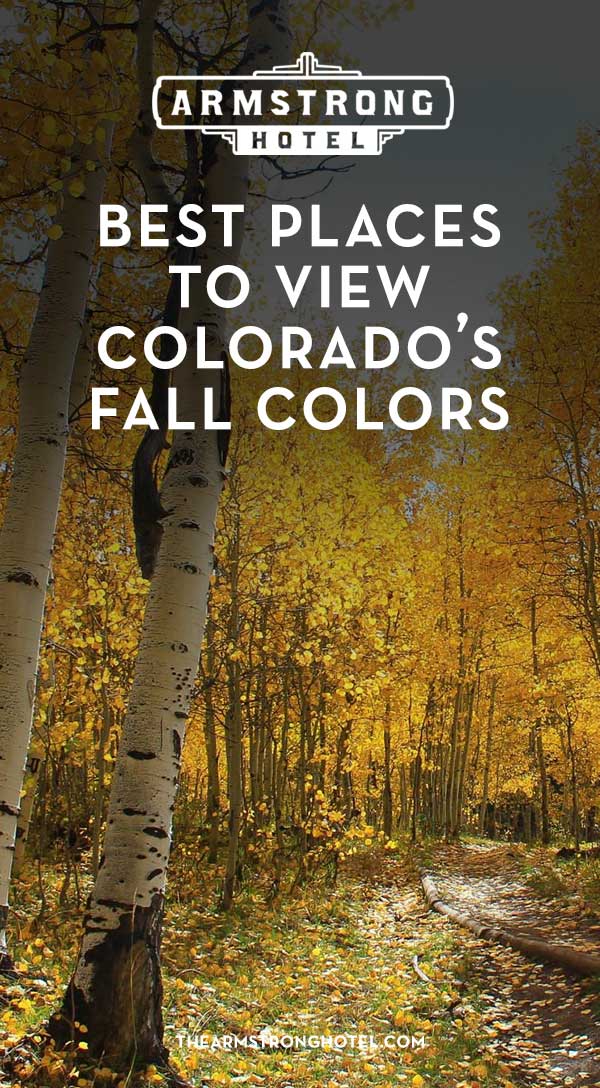 Blog Best Places to View Colorado's Fall Colors