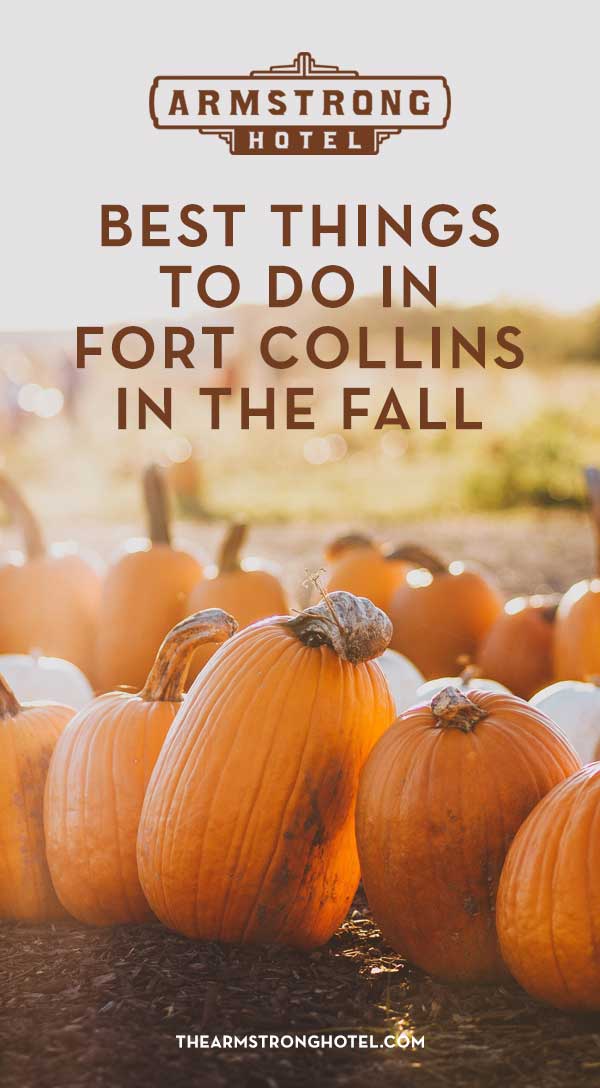 Blog Best Things to do in Fort Collins in the Fall