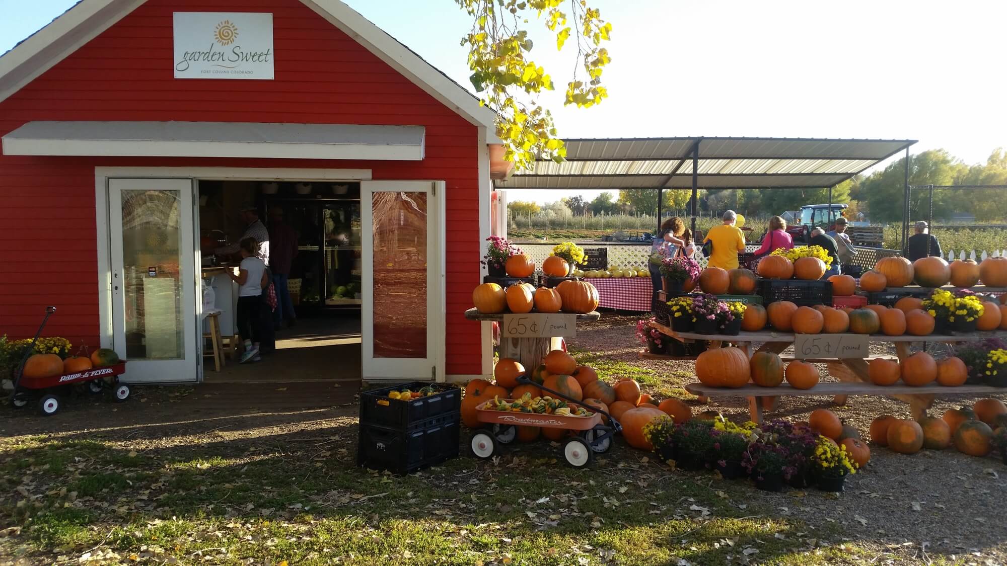 Garden Sweet Farm vegetable stand and pumpkins