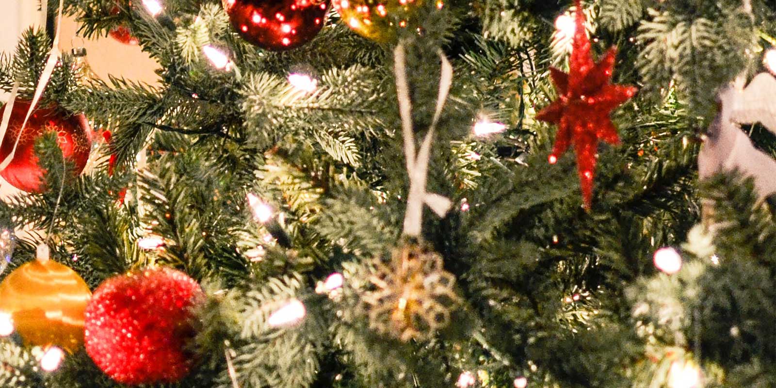 Close up of Christmas tree ornaments and lights