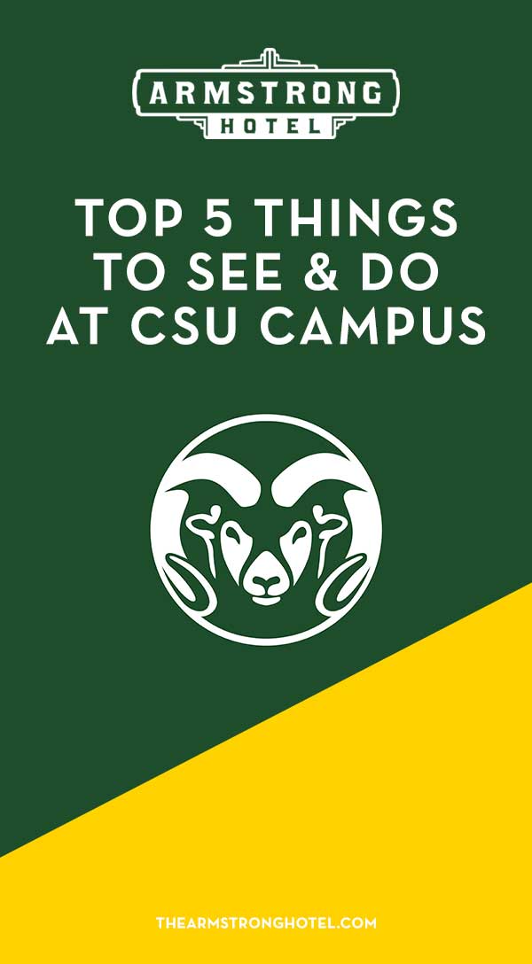 Blog Top 5 Things to See and Do at CSU Campus