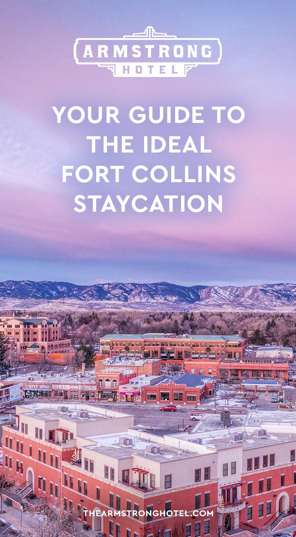 Blog Your Guide To The Ideal Fort Collins Staycation