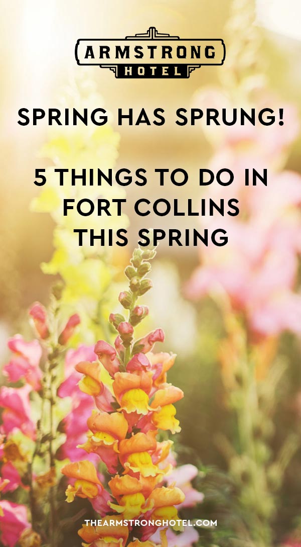 Blog Spring Has Sprung! 5 Things To Do In Fort Collins This Spring