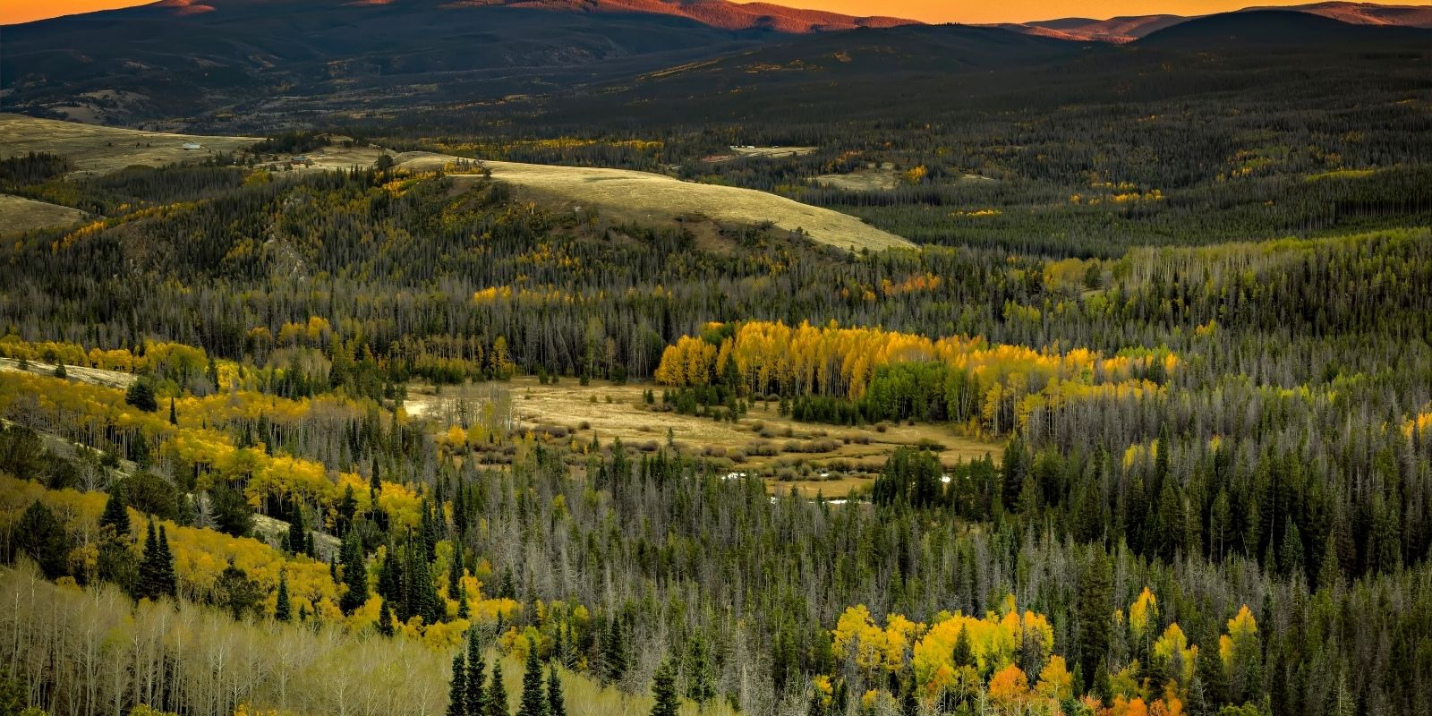 Fall colors of landscape scene in Saratoga, Wyoming.
