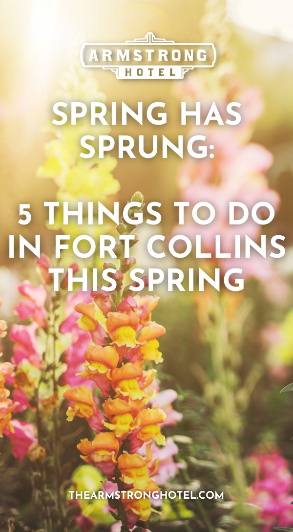 Armstrong Blog - 5 Things to do in Fort Collins this Spring